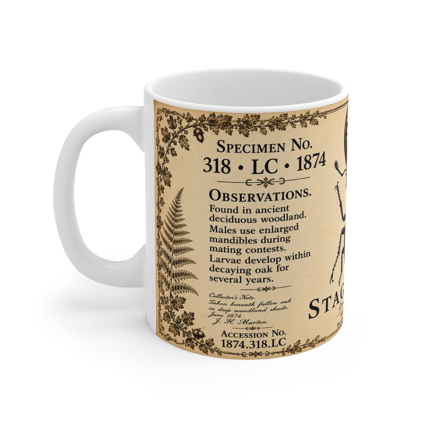 Stag beetle vintage specimen mug — 11oz white ceramic, side view