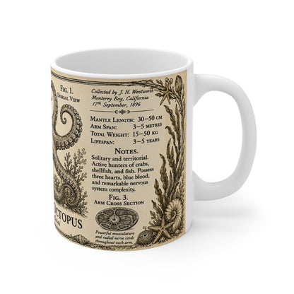 Giant Pacific octopus museum plate illustration printed on an 11oz white ceramic mug