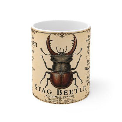 Stag beetle vintage specimen mug — 11oz white ceramic, handle view