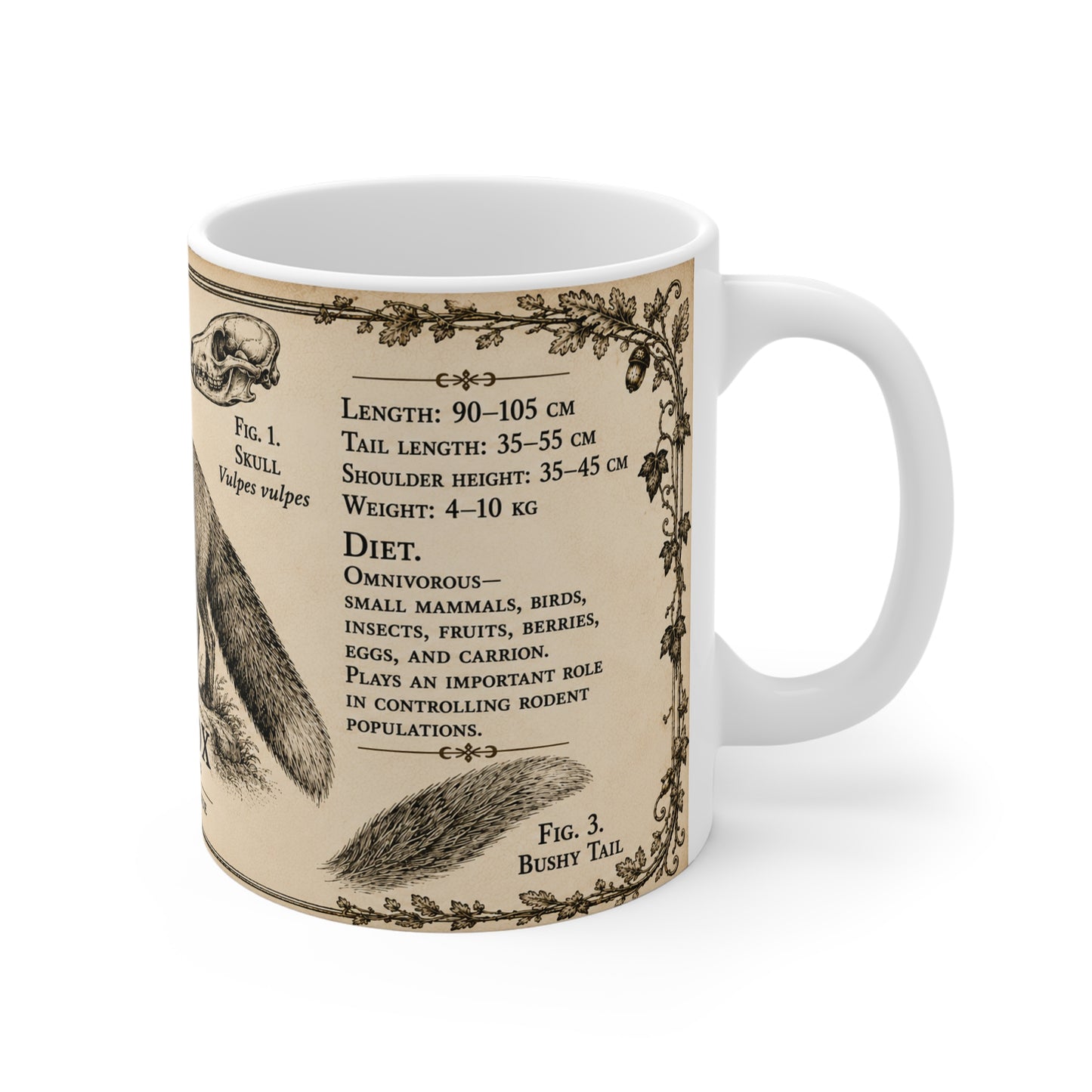 Red fox museum plate illustration printed on an 11oz white ceramic mug