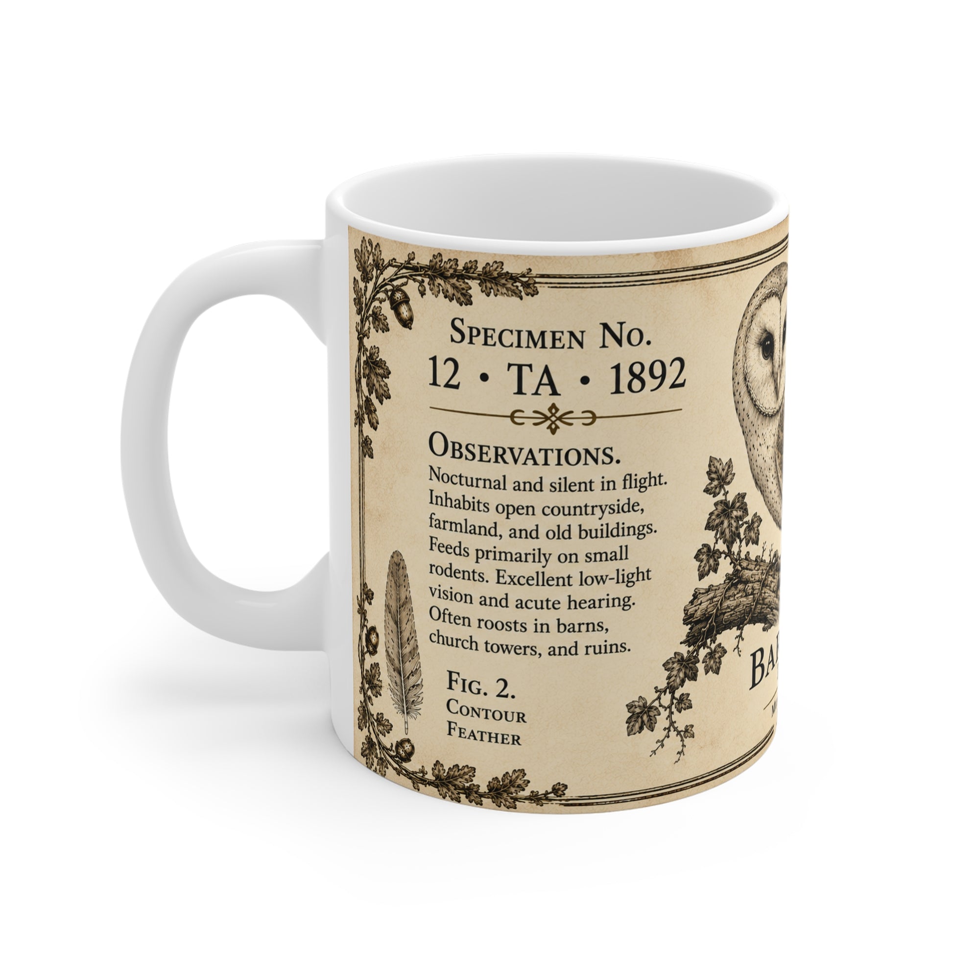 Barn owl vintage naturalist mug — hand-drawn museum plate illustration on 11oz ceramic