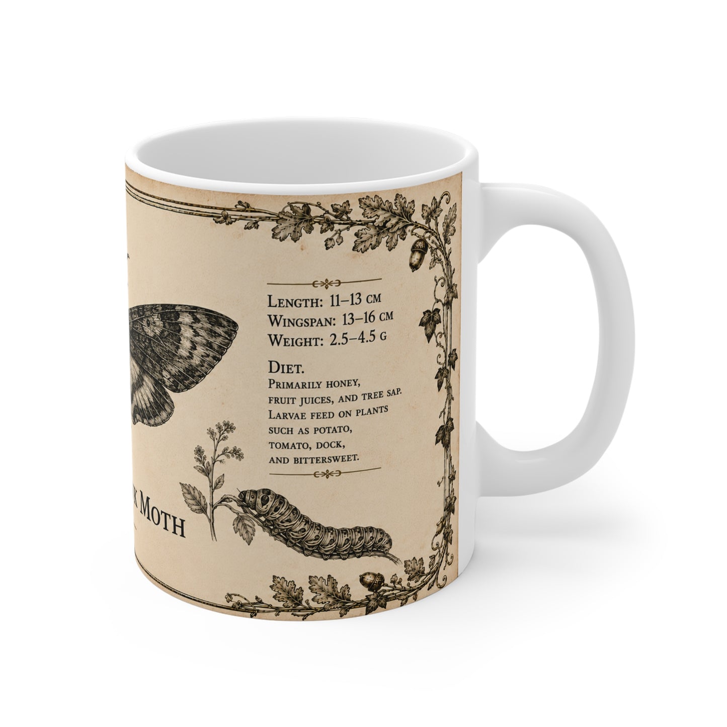 Death's-Head Hawk Moth vintage entomology mug — 11oz white ceramic, side view