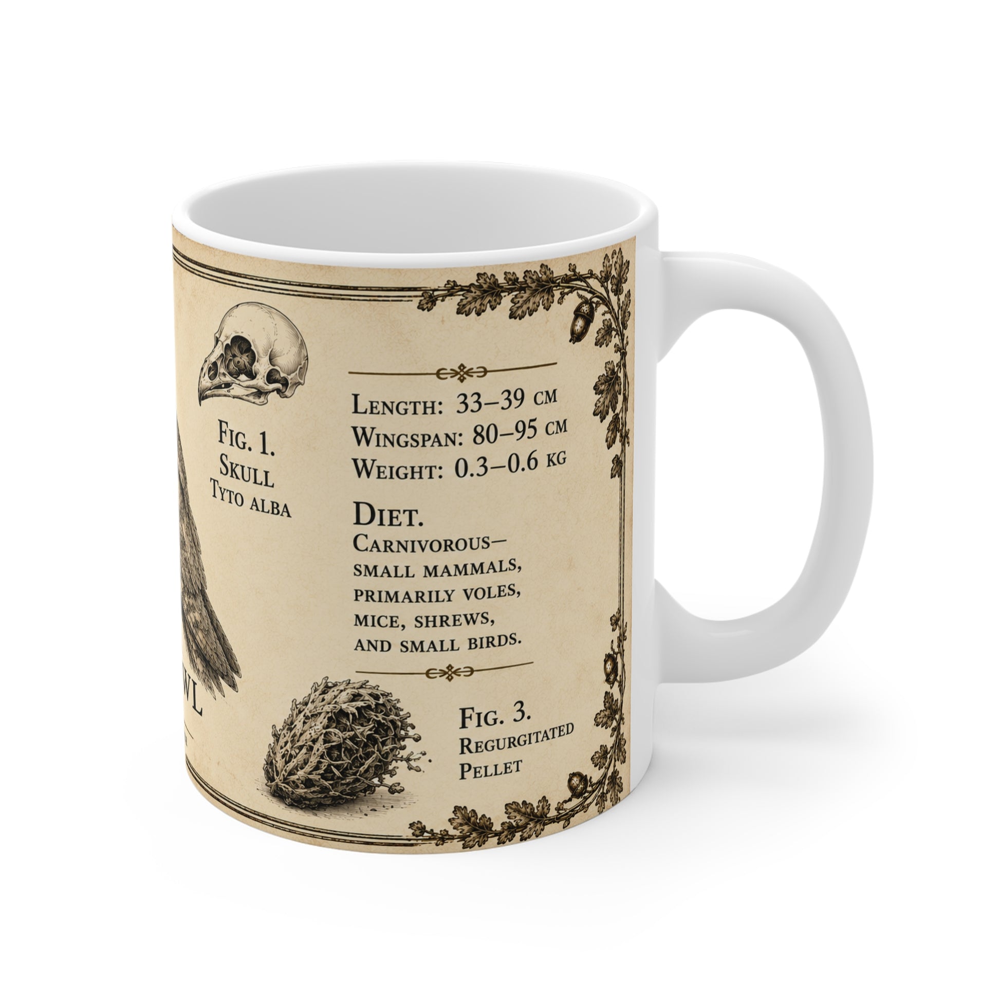 Barn owl museum plate illustration printed on an 11oz white ceramic mug