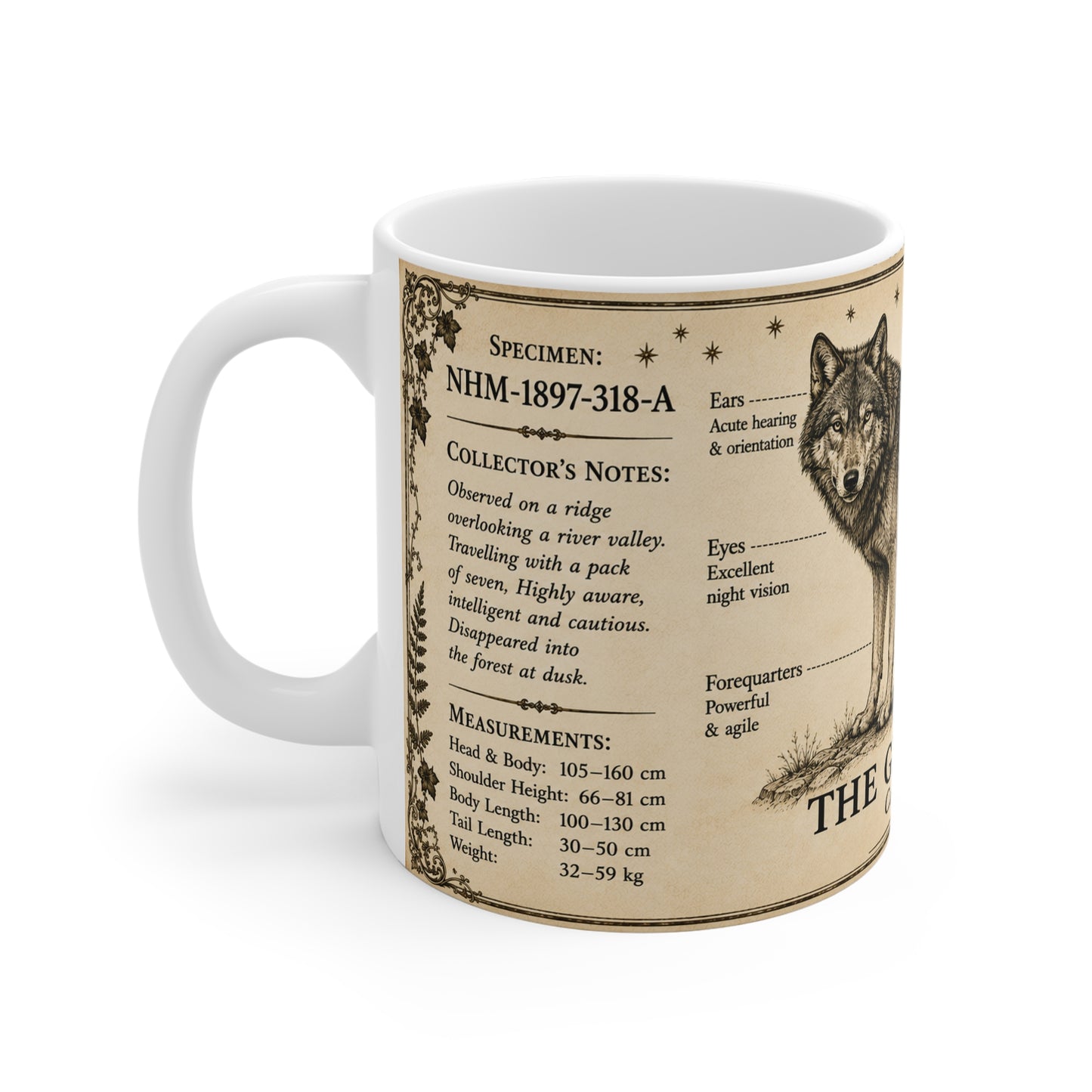 Grey wolf natural history mug in sepia and parchment tones, 11oz white ceramic