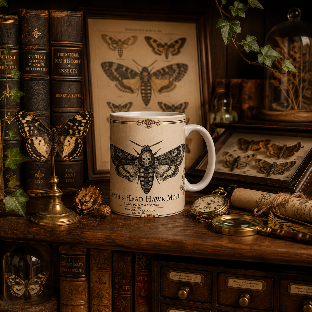 Death's-Head Hawk Moth mug shown in a home setting