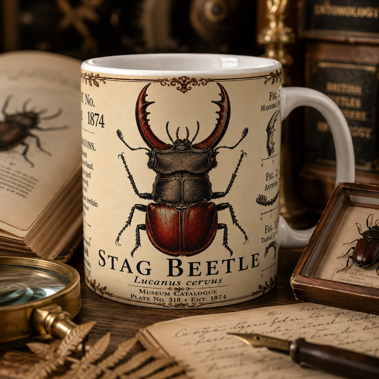 Stag beetle specimen illustration with botanical accents and aged parchment tones on a white ceramic mug