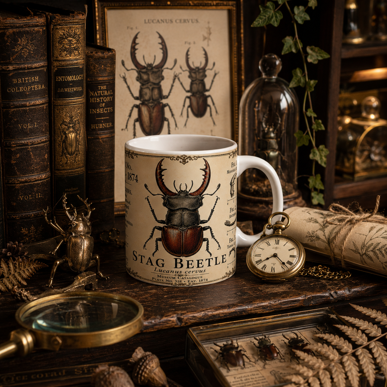 Stag beetle natural history mug shown in a home setting