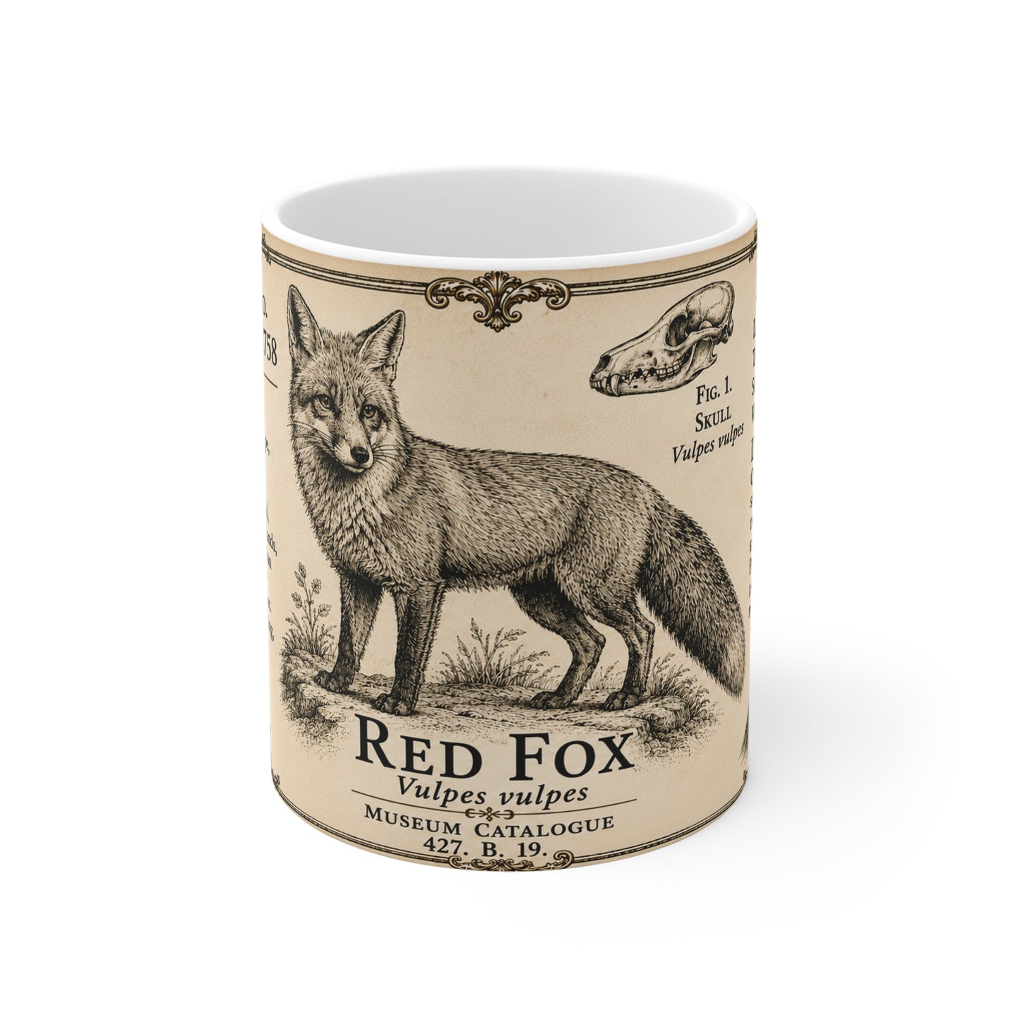 Red fox natural history mug in warm sepia and parchment tones, 11oz white ceramic