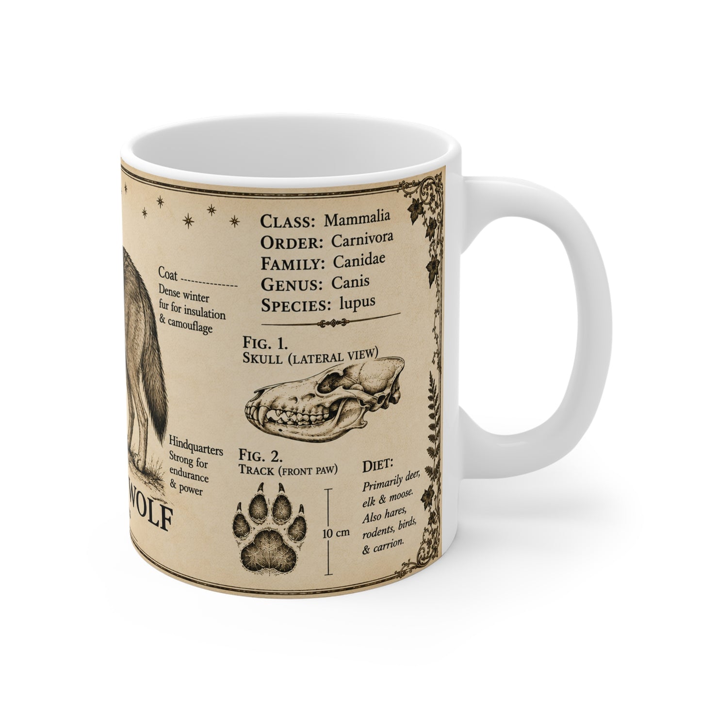 Grey wolf museum plate illustration printed on an 11oz white ceramic mug