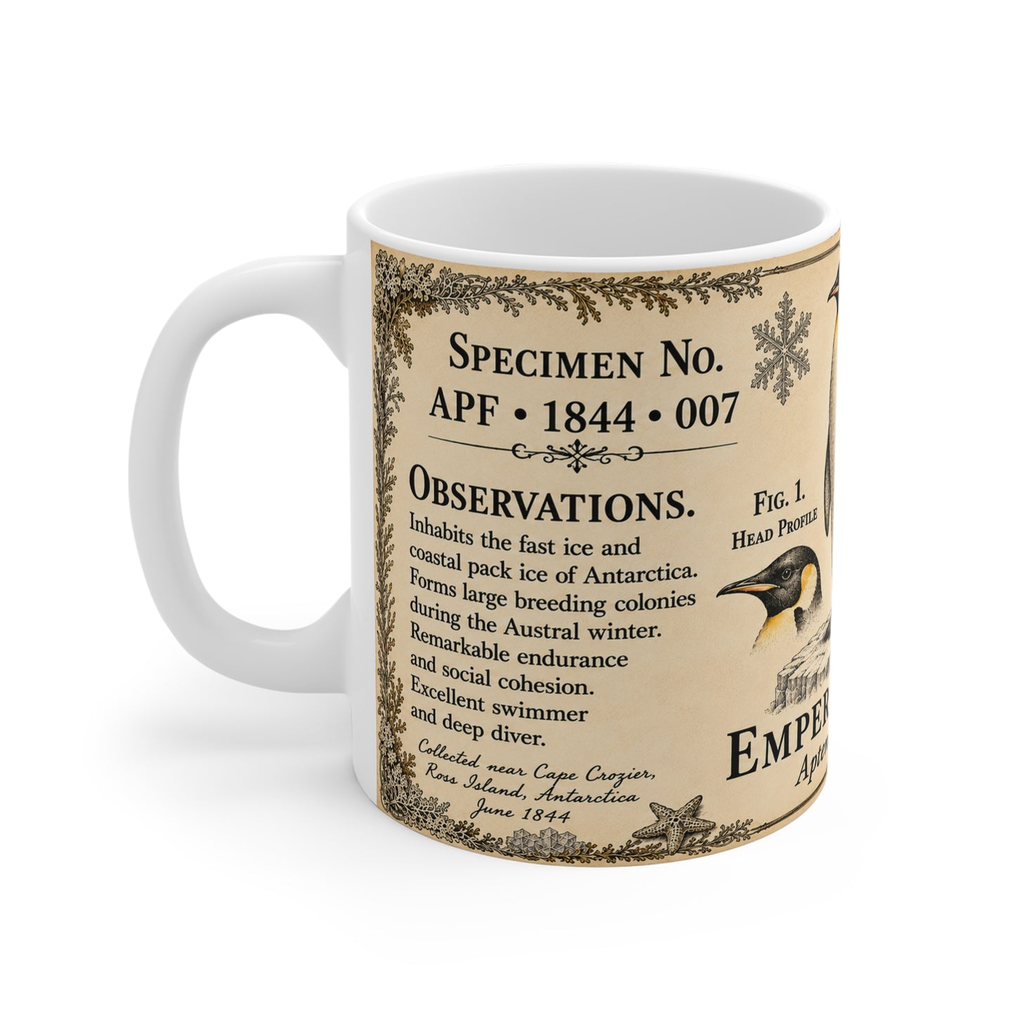 Vintage emperor penguin engraving with border flourishes and field notes on a white ceramic mug