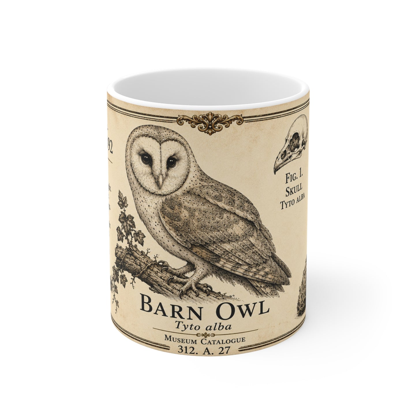 Barn owl ornithology mug with antique botanical detail on white ceramic