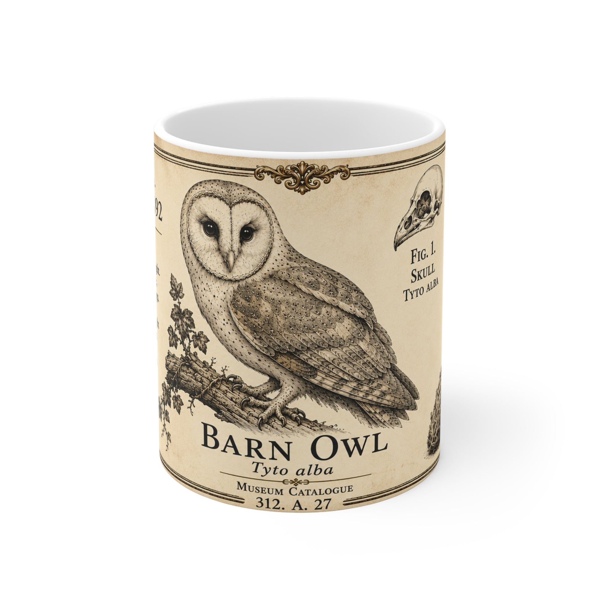 Barn owl ornithology mug with antique botanical detail on white ceramic