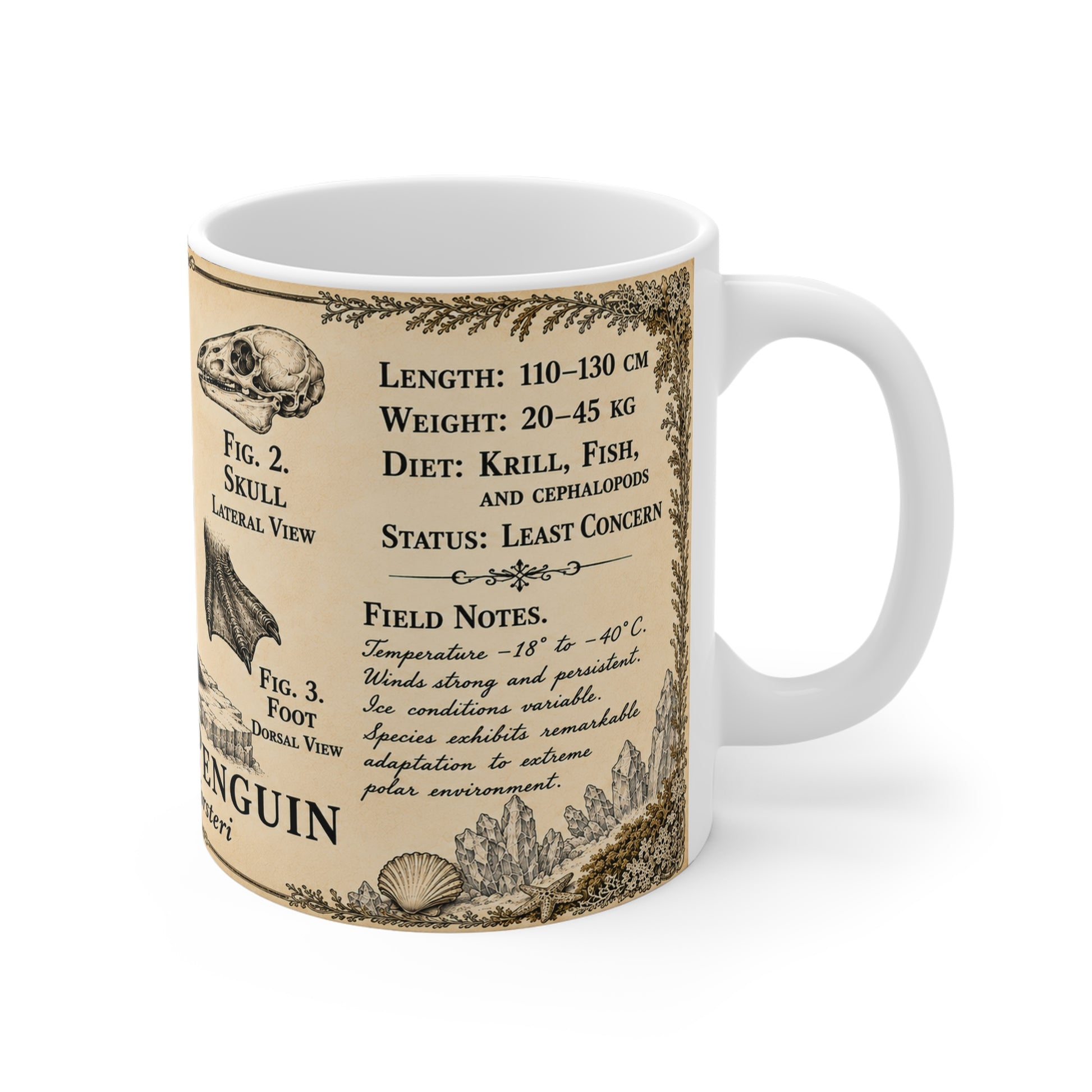 Emperor penguin museum plate illustration printed on an 11oz white ceramic mug