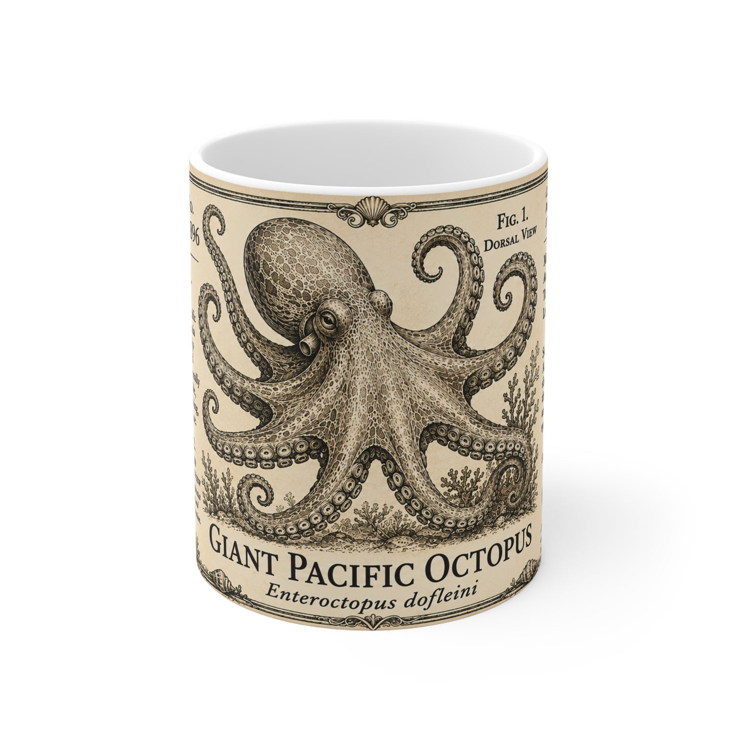 Giant Pacific octopus natural history mug in warm sepia and parchment tones, 11oz white ceramic