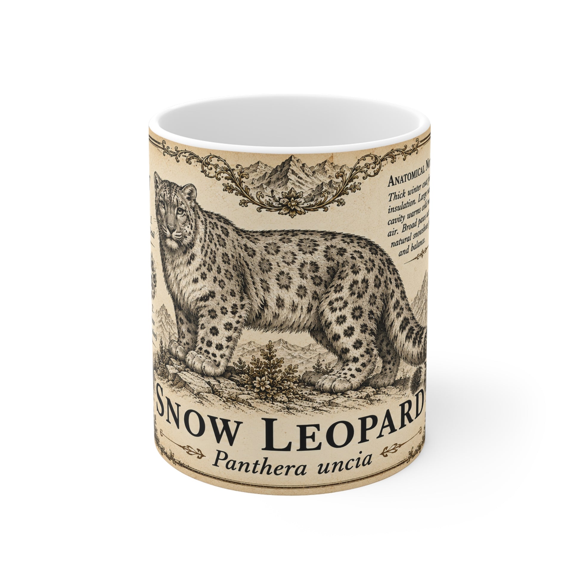 Panthera uncia naturalist plate illustration on an 11oz white ceramic mug