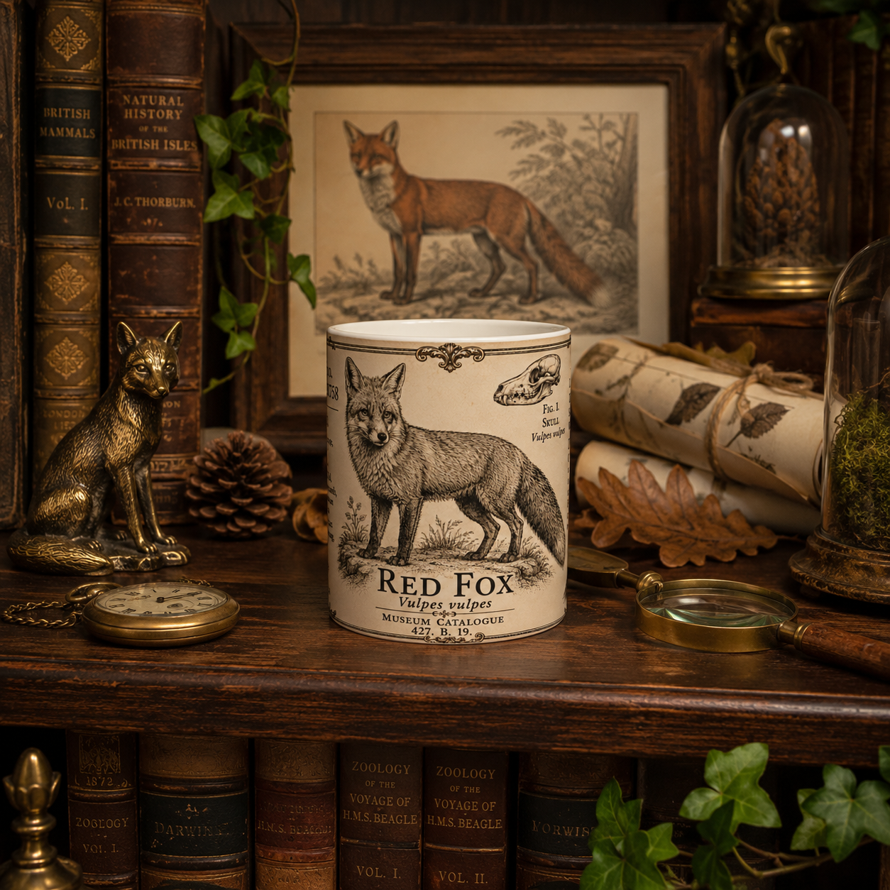 White ceramic mug printed with a pen-and-ink red fox, specimen notes and paw prints