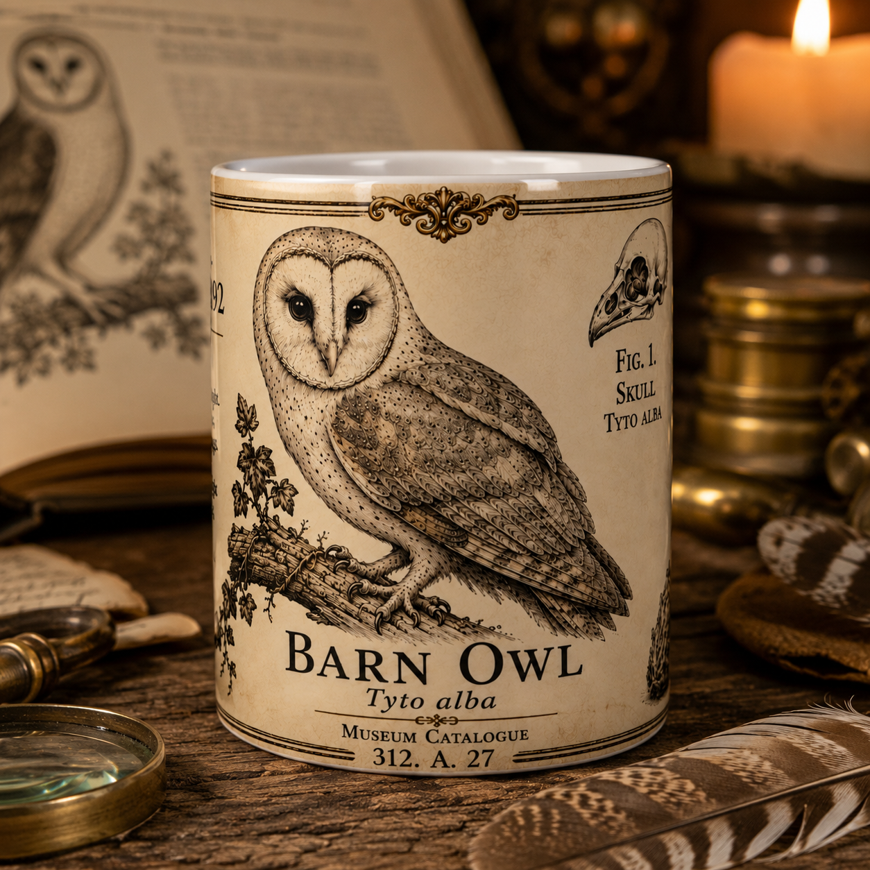 Barn owl natural history mug in sepia and parchment tones, 11oz white ceramic